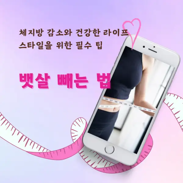 뱃살 빼는 법 완벽 가이드