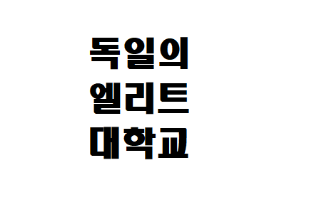  독일 대학 랭킹? 독일의 엘리트 대학교?