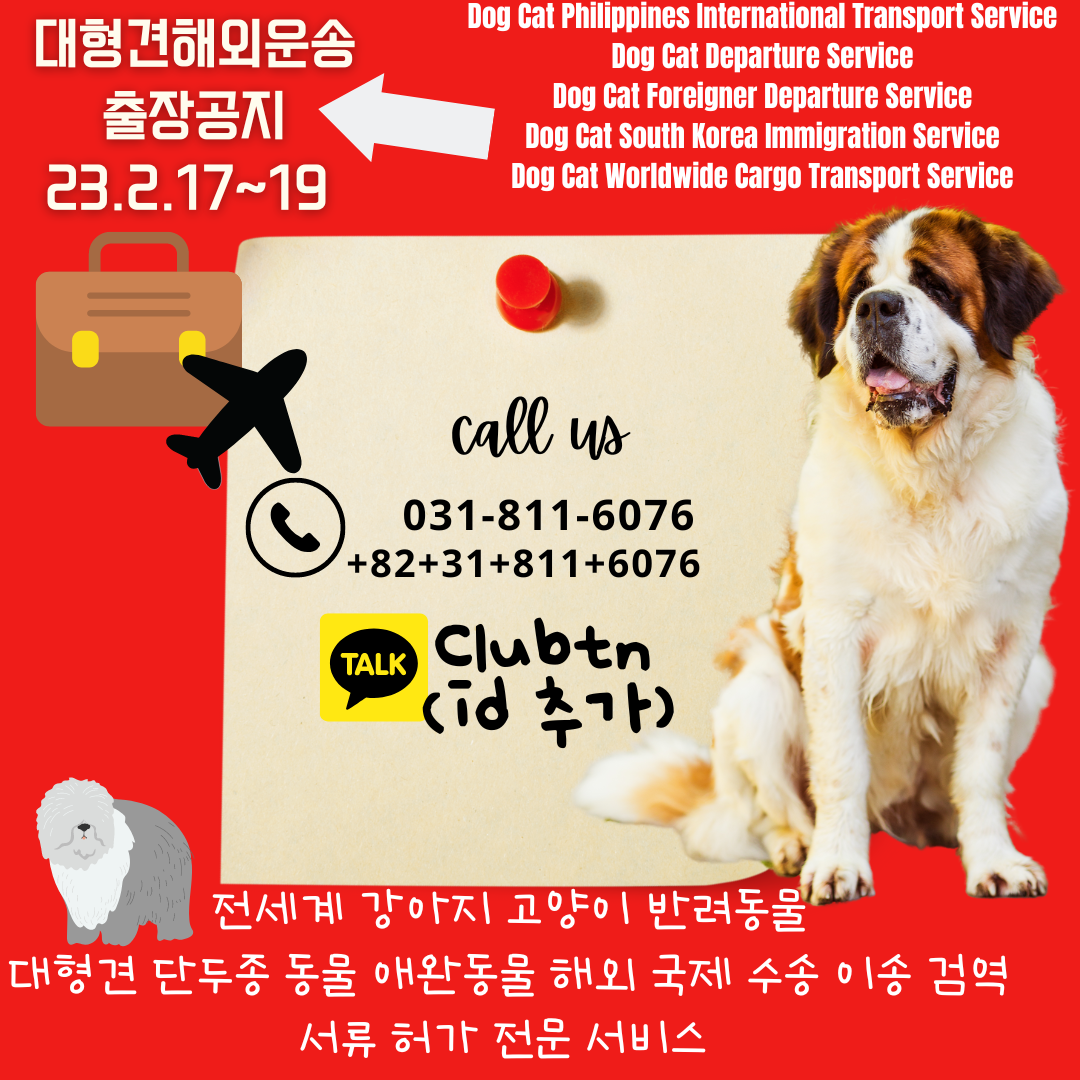  대형견해외운송 강아지검역 고양이검역 강아지출국 고양이출국 반려동물출국서비스 강아지해외운송서비스 고양이해외운송서비스 강아지통관 고양이통관 강아지세관 고양이세관 강아지마..