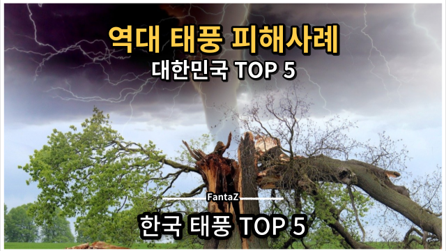 대한민국 역대 태풍 피해사례 Top 5