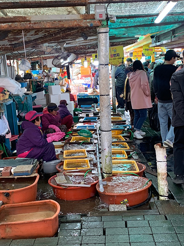 수많은점포