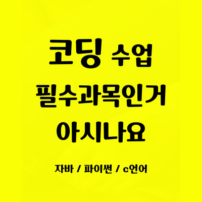 화도 어린이코딩 화도읍 초등 중등 코딩과외 자바스크립트 일대일 사고력 집중력향상 필수과목 파이썬