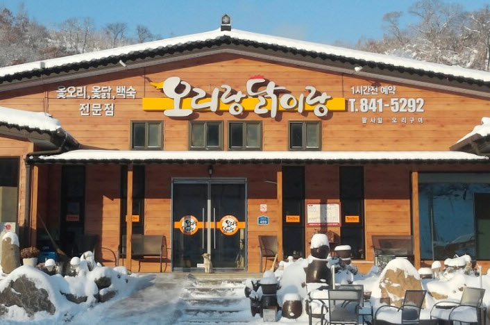 오리랑닭이랑 이미지