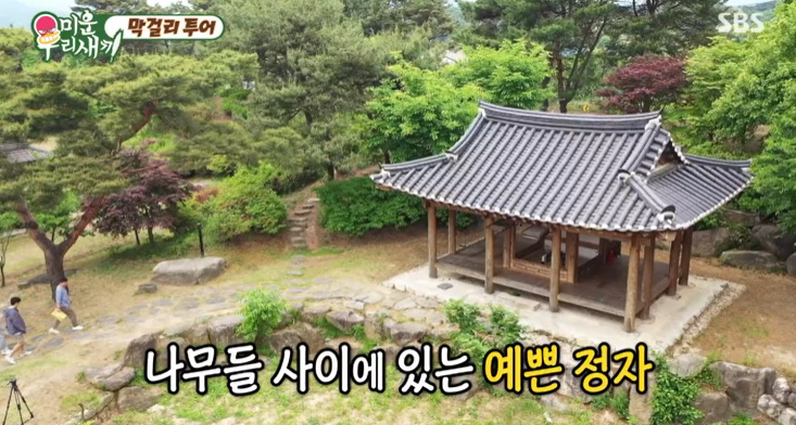  미운우리새끼 막걸리 투어 막걸리 박물관 미우새 임원희 포천막걸리 파는곳 위치 어디? 정보