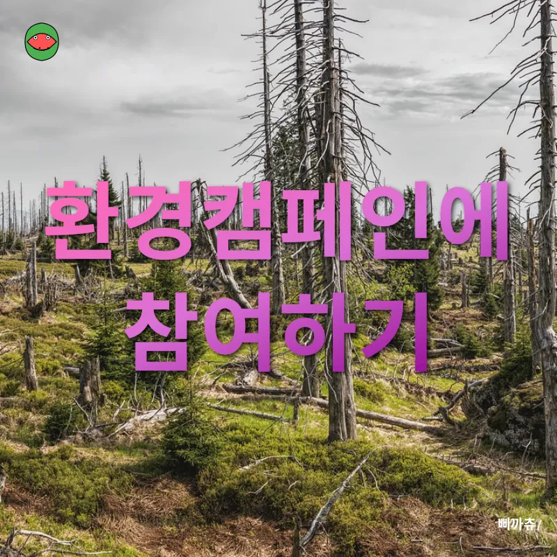 일상 속 환경 보호_5