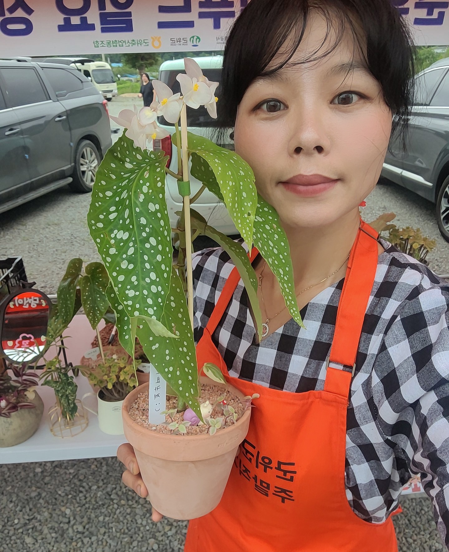 지니힐즈 농장에서 직접 소요카제 키우는 식집사이자 농부