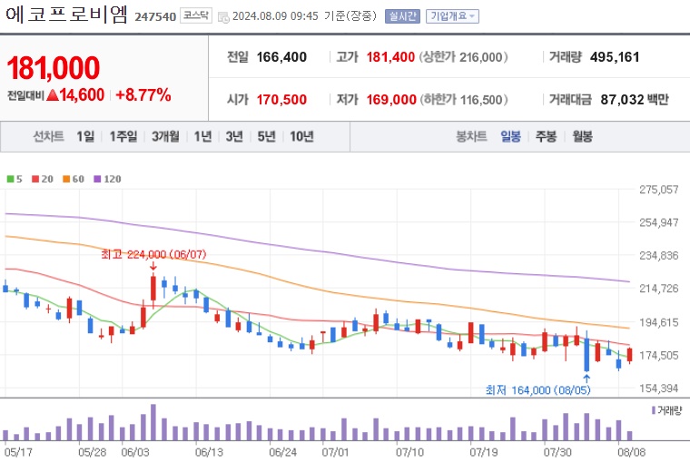 에코프로비엠 주가 (8월1주차)