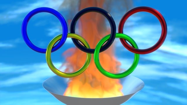 2024 파리 패럴림픽 개요2