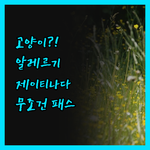제이티나다 호텔, 고양이 알레르기 있