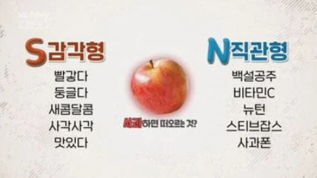 MBTI-S와-N-차이-질문-대답