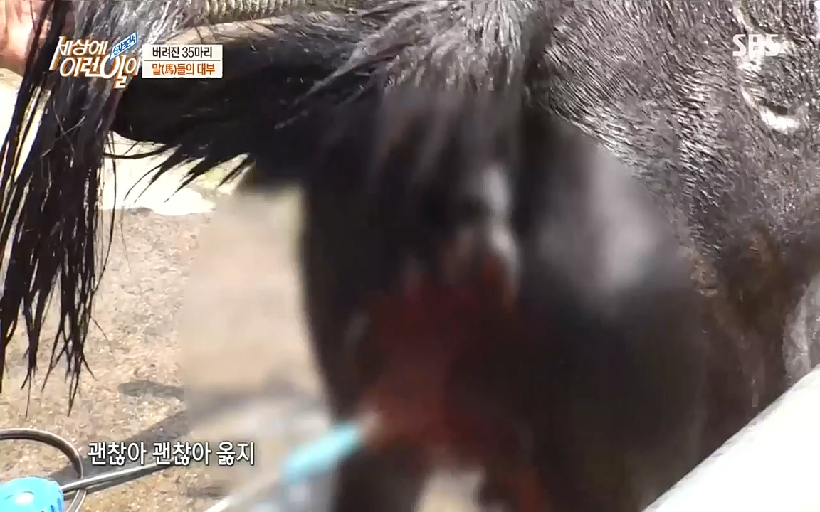 순간포착 세상에 이런일이.E1198.220920.H265p-BULDU.mp4_20220921_202000.476.jpg