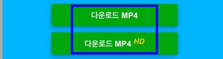 트위터 동영상 저장하기 화질 옵션 선택