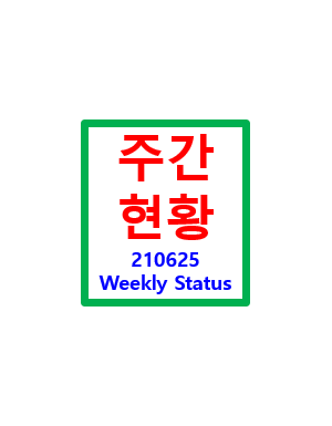  보유종목 주간현황 - 210625
