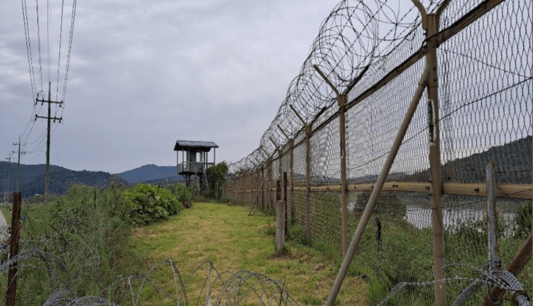 [코리아둘레길 DMZ 평화의 길 9코스] 자연과 역사가 공존하는 임진강 철책길 완전정복