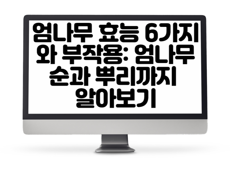 엄나무 효능 6가지와 부작용 엄나무순과 뿌리까지 알아보기