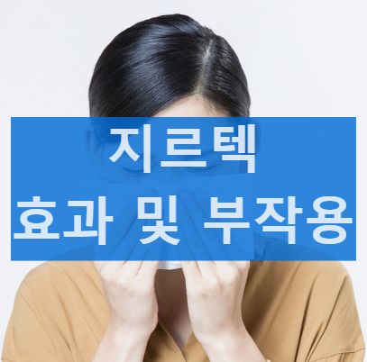 지르텍 지르택 비염 콧물 효과 부작용&#44; 편의점 구매? 가격 알아보기