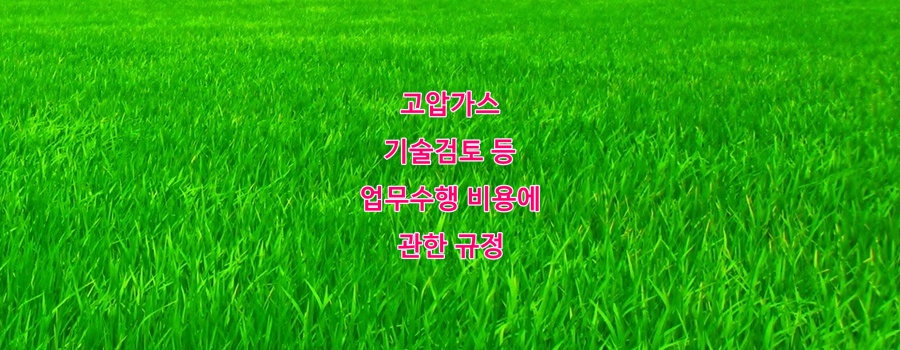 고압가스 기술검토 등 업무수행 비용에 관한 규정