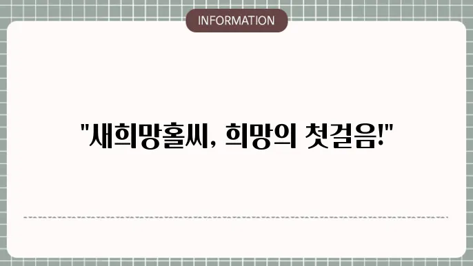 국민은행 새희망홀씨 대출 조건 및 신청 방향