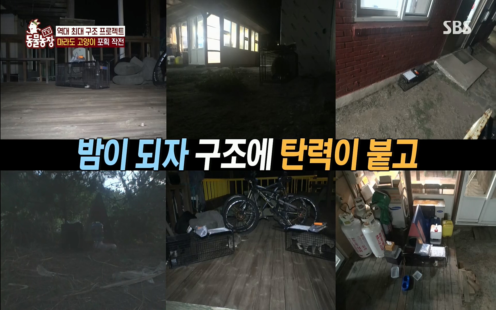 TV 동물농장.E1077.220710p.H264-F1RST.mp4_20220710_175432.400.jpg