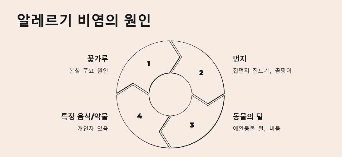 알레르기 비염 원인