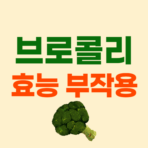  브로콜리 효능 브로콜리 부작용