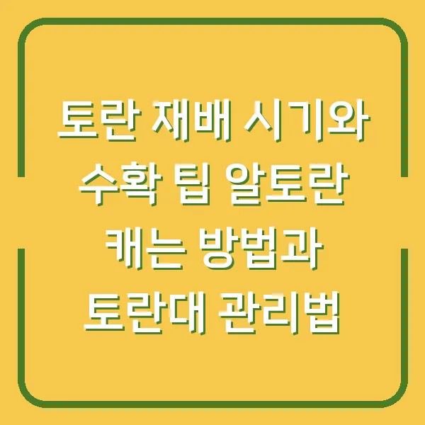 토란 재배 시기와 수확 팁 알토란 캐는 방법과 토란대 관리법