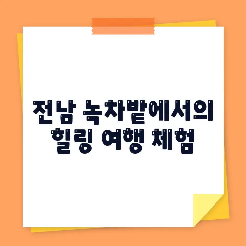 전남 녹차밭에서의 힐링 여행 체험