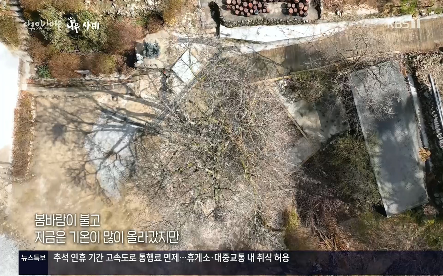 다큐 인사이트.E124.220908p.H264-F1RST.mp4_20220912_143727.232.jpg