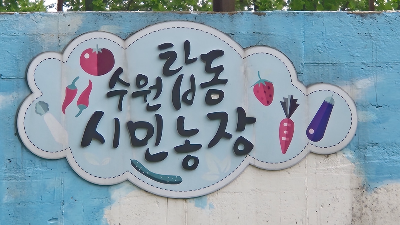 수원농장 이미지