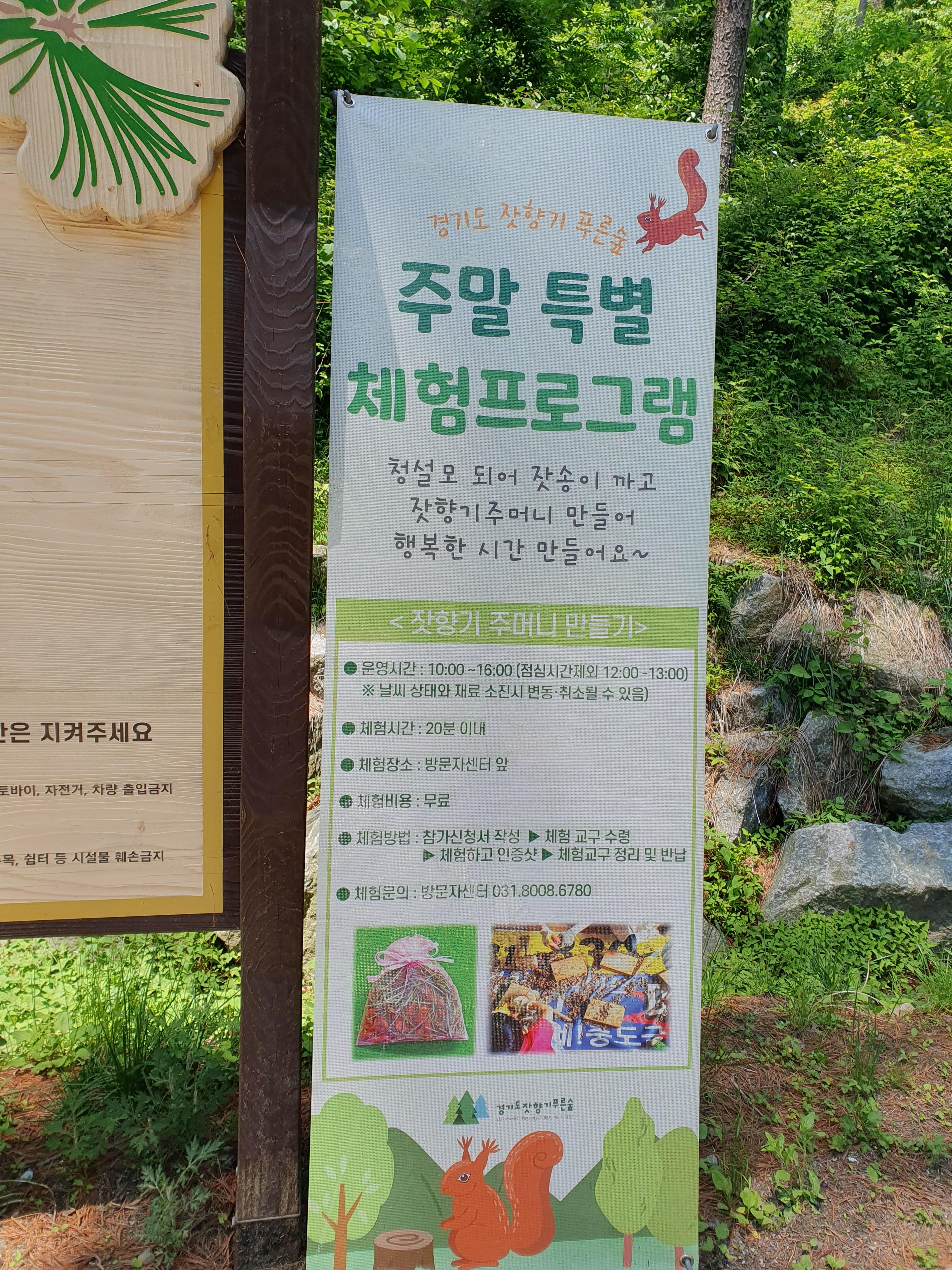 주말 특별 프로그램