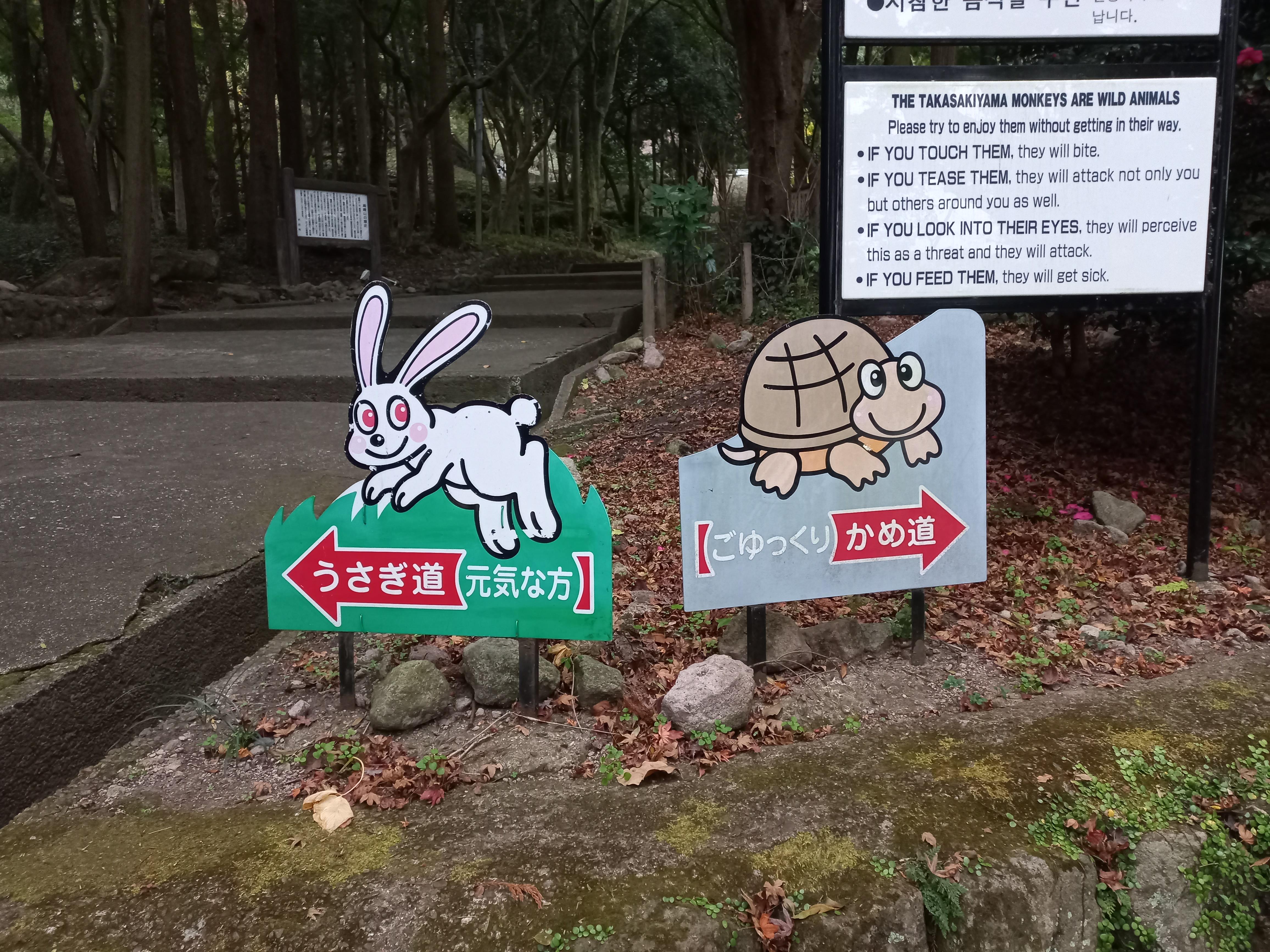 다카사키야마자연동물원의 갈림길 표지