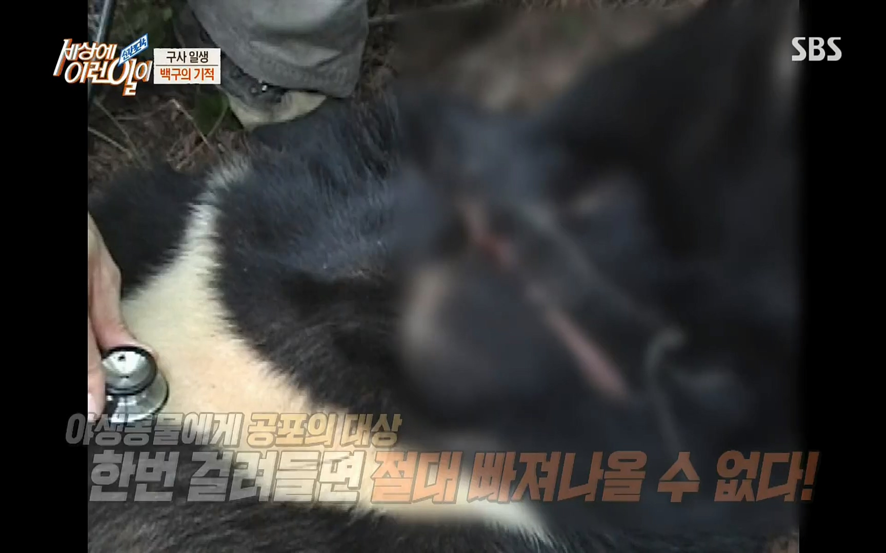 순간포착 세상에 이런일이.E1184.220614p.H264-F1RST.mp4_20220615_201704.496.jpg