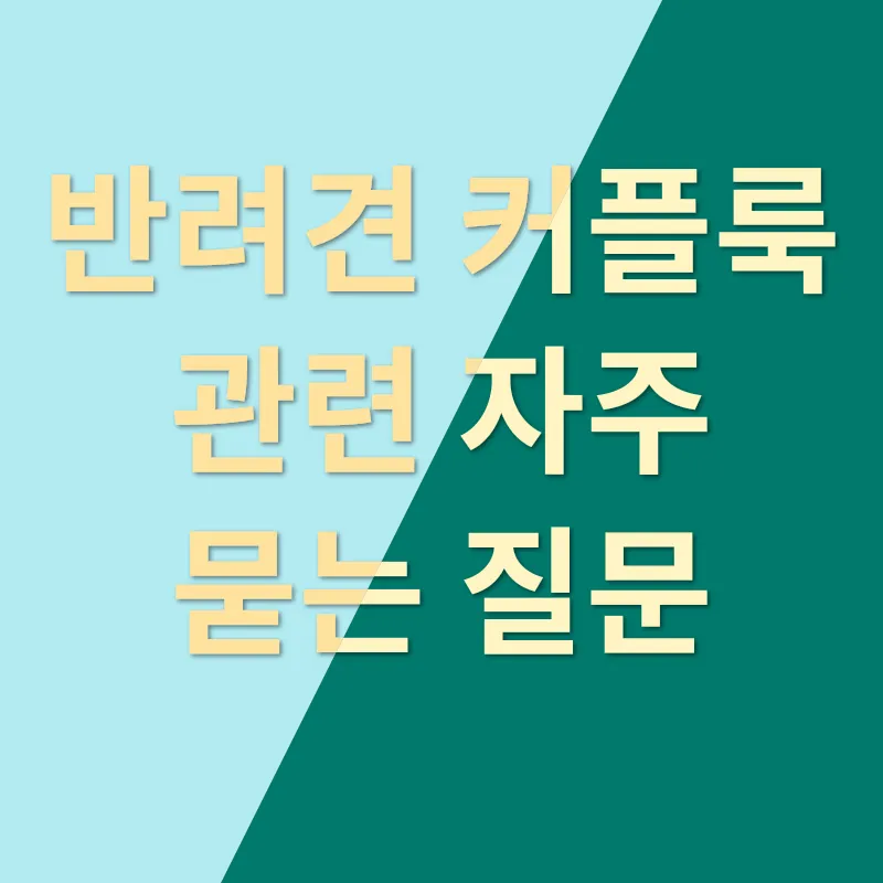 반려견 커플룩_4