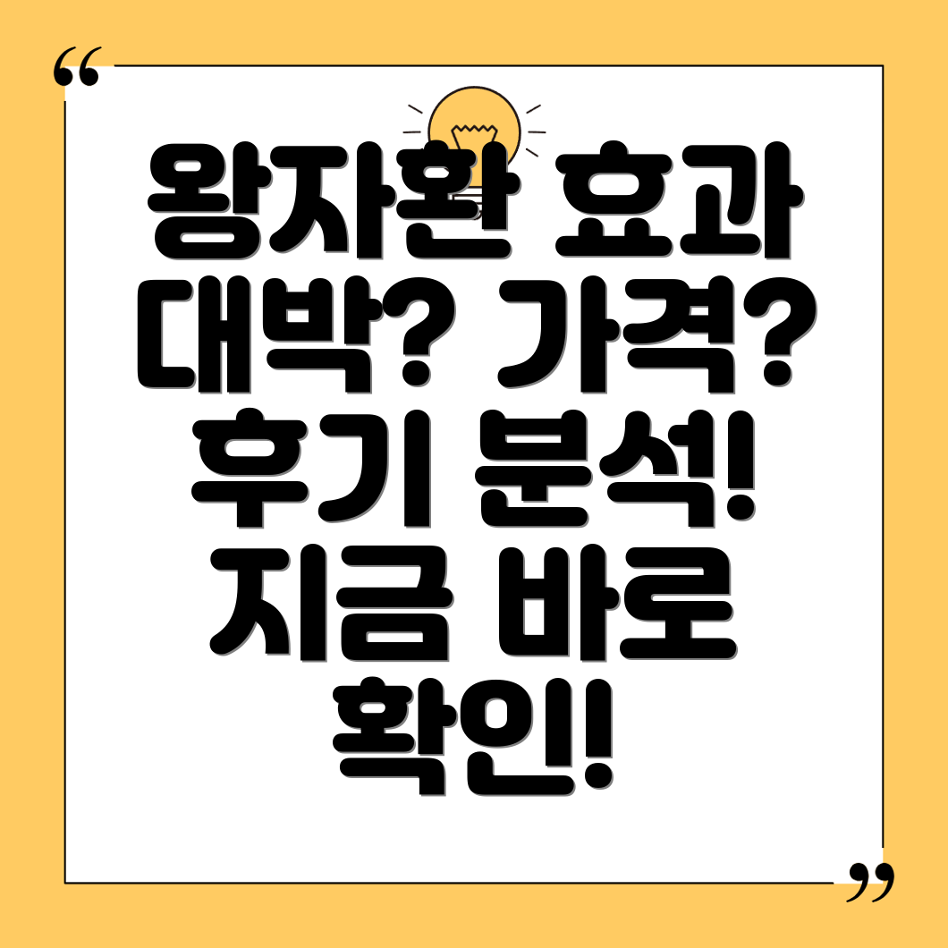 왕자환