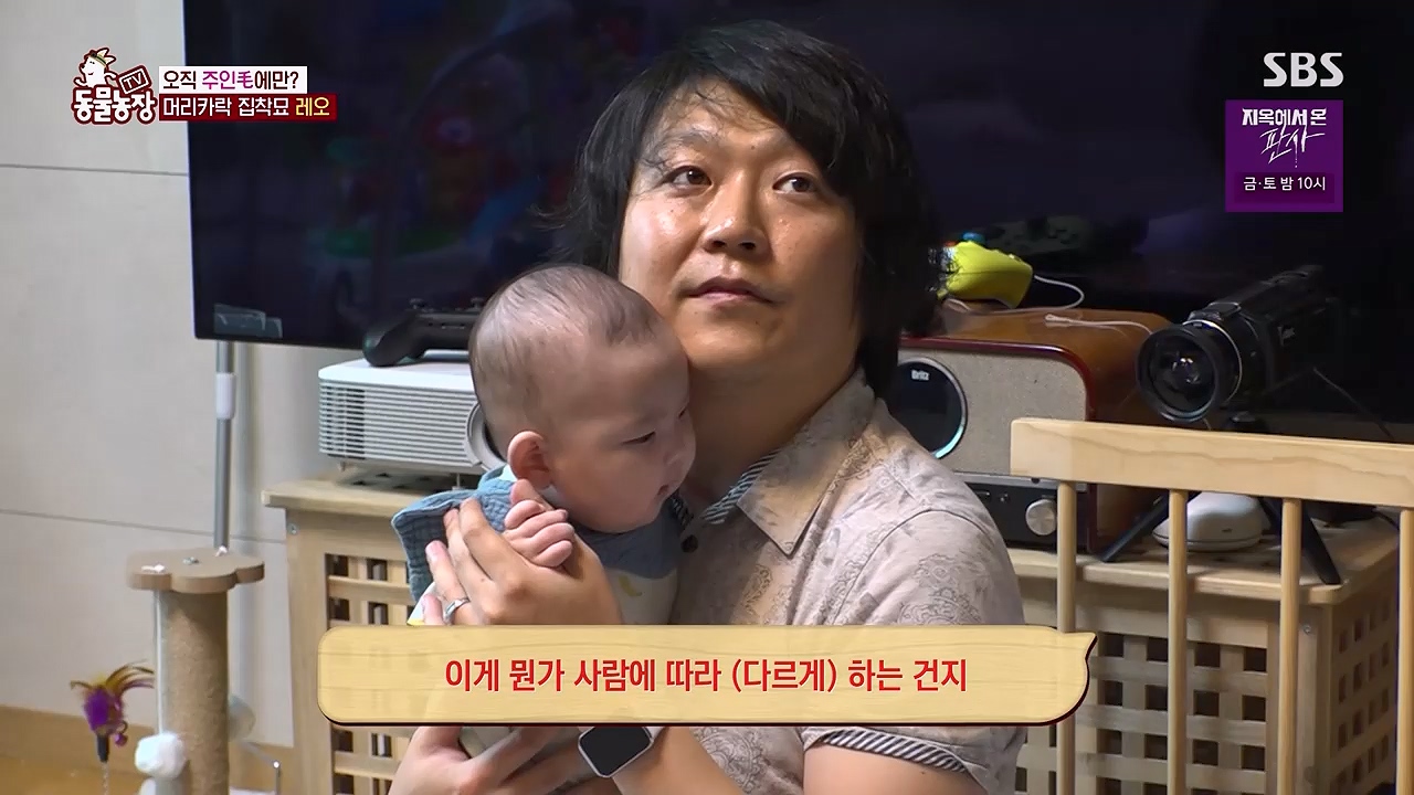 TV 동물농장 1189화 다시보기.ts_20240922_161942.150.jpg