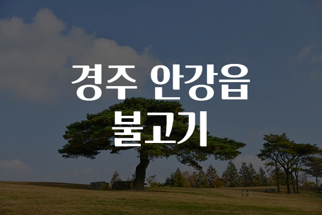 불고기맛집 이미지