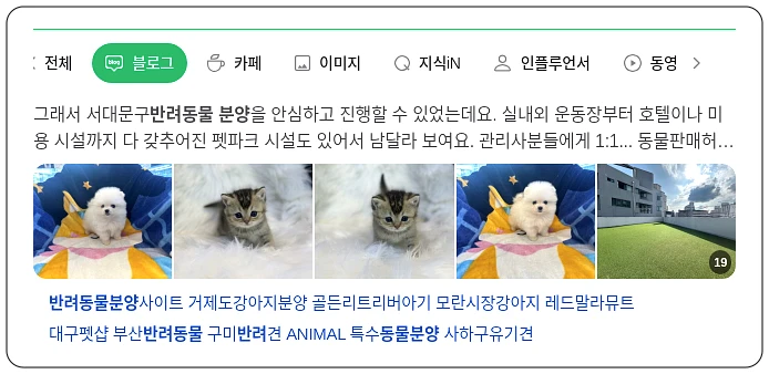 반려동물 분양_4