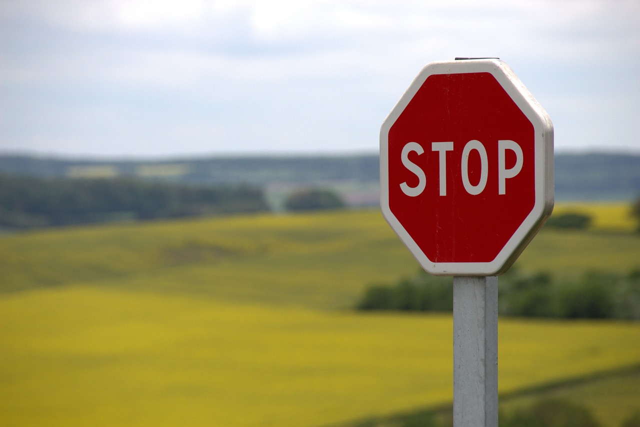 들판에 있는 stop sign