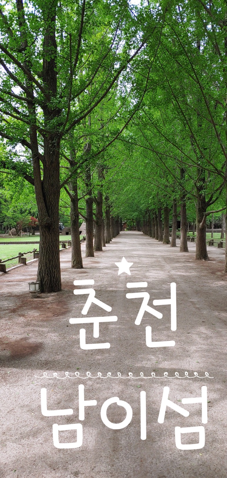  나미나라공화국 남이섬놀거리 총정리
