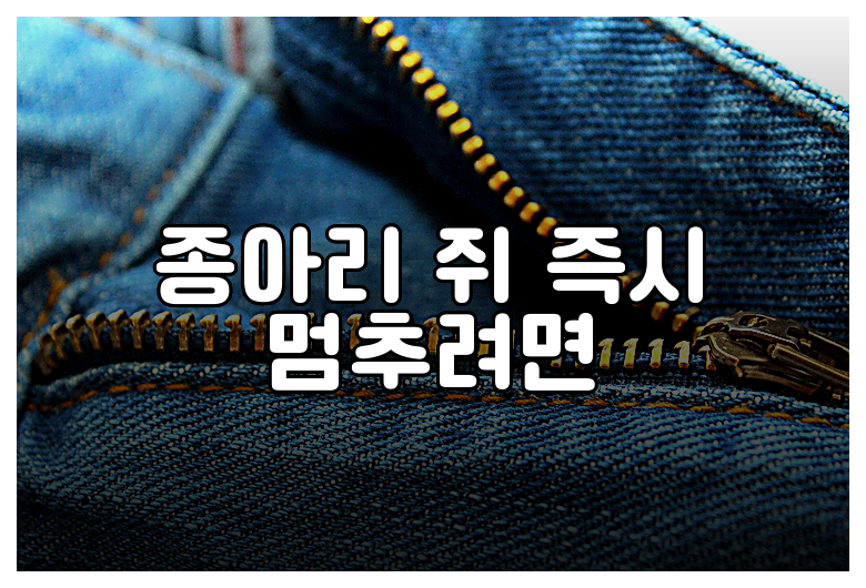종아리 쥐 즉시 멈추려면