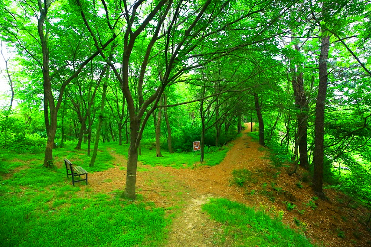 논산 황화(봉화)산성