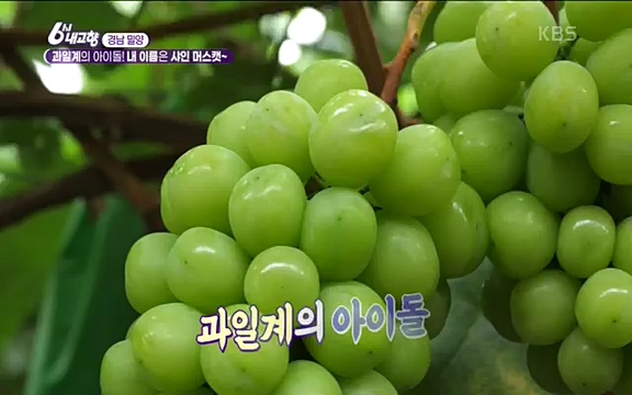 [7612회] 6시 내고향 - KBS7612회] 6시 내고향.ts_20220912_172327.807.jpg