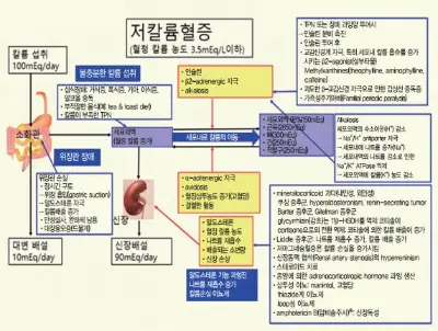 저포타슘혈증의-원인-및-치료방법-자세한-내용