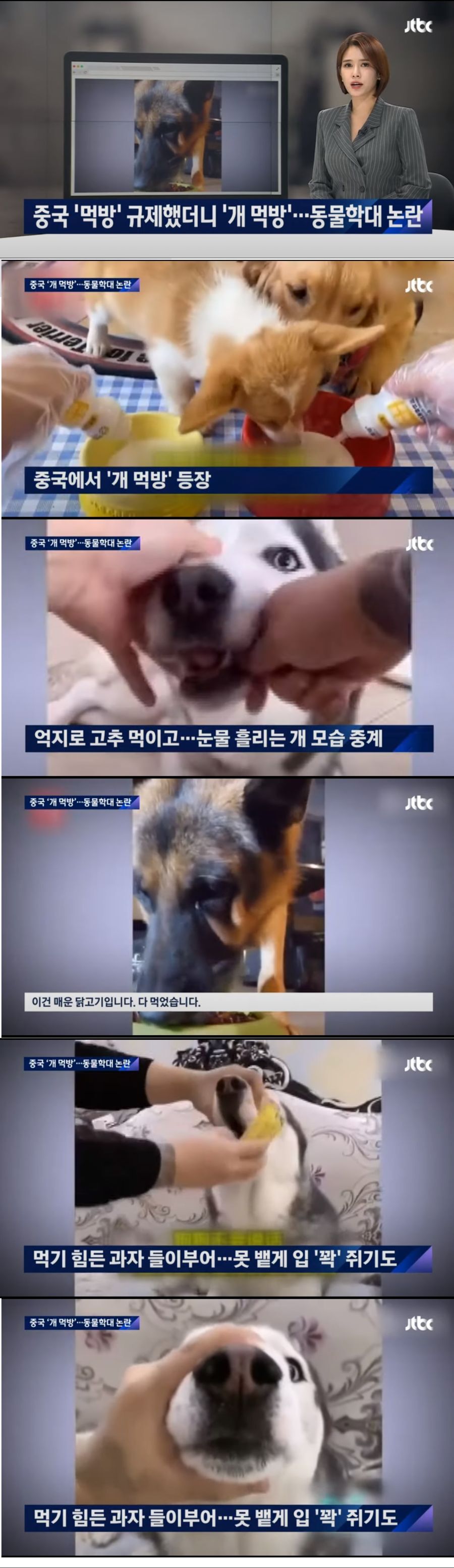  중국에서 먹방을 금지했더니 발생한 일