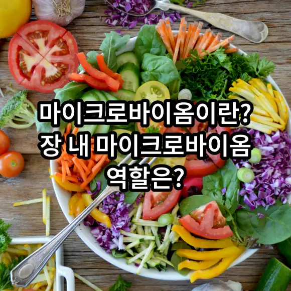 마이크로바이옴 장에서 어떤 기능을 하나?