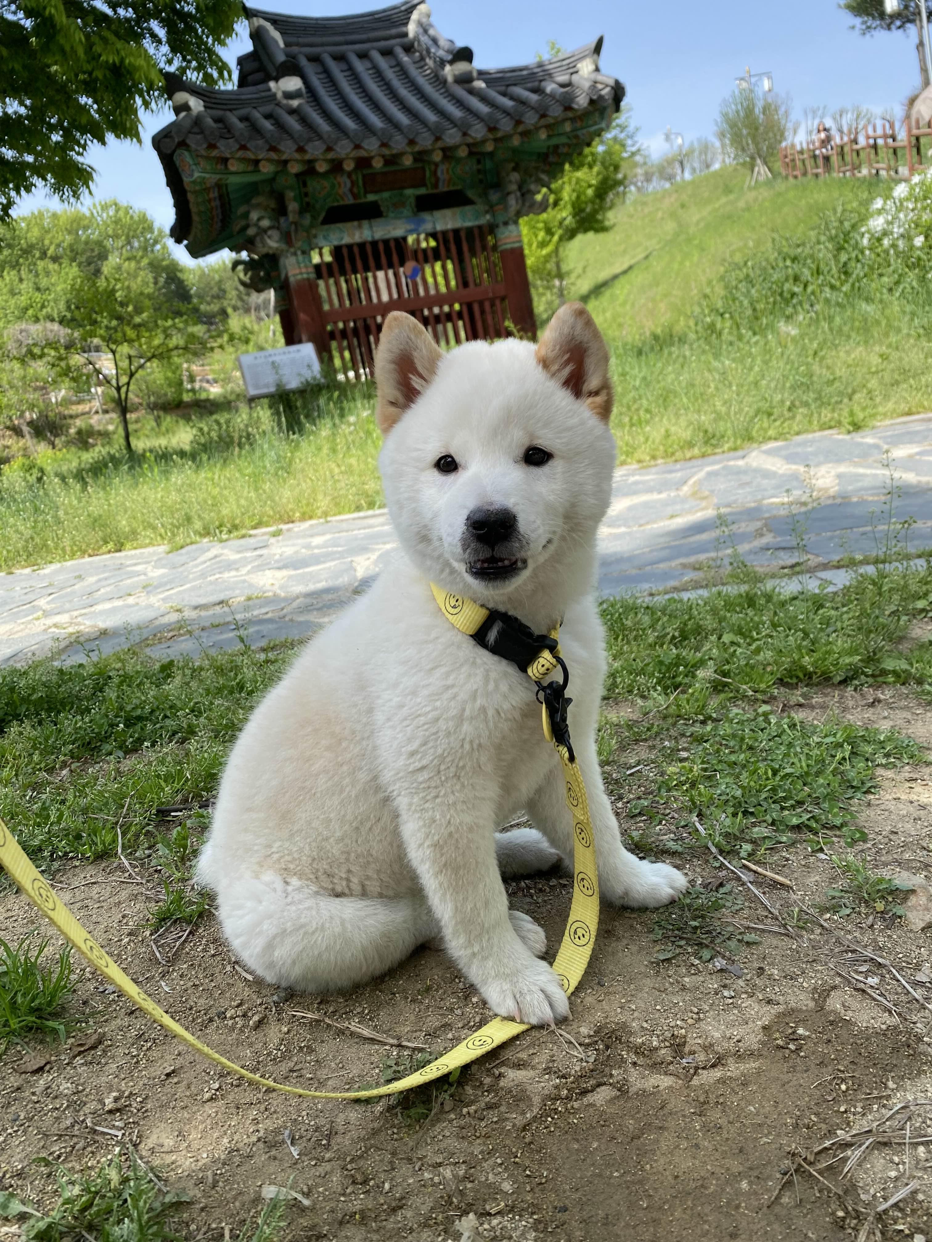 alt 태그