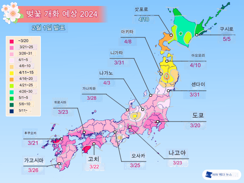 2024년 전국 일본 벚꽃 개화 예상 시기 │일본 웨더뉴스