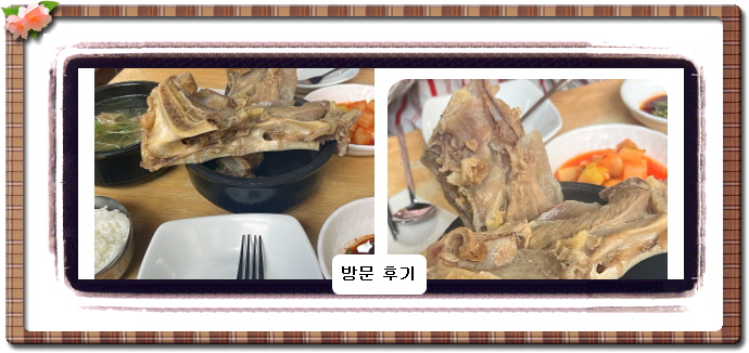 전현무계획2 꼬리곰탕 21회