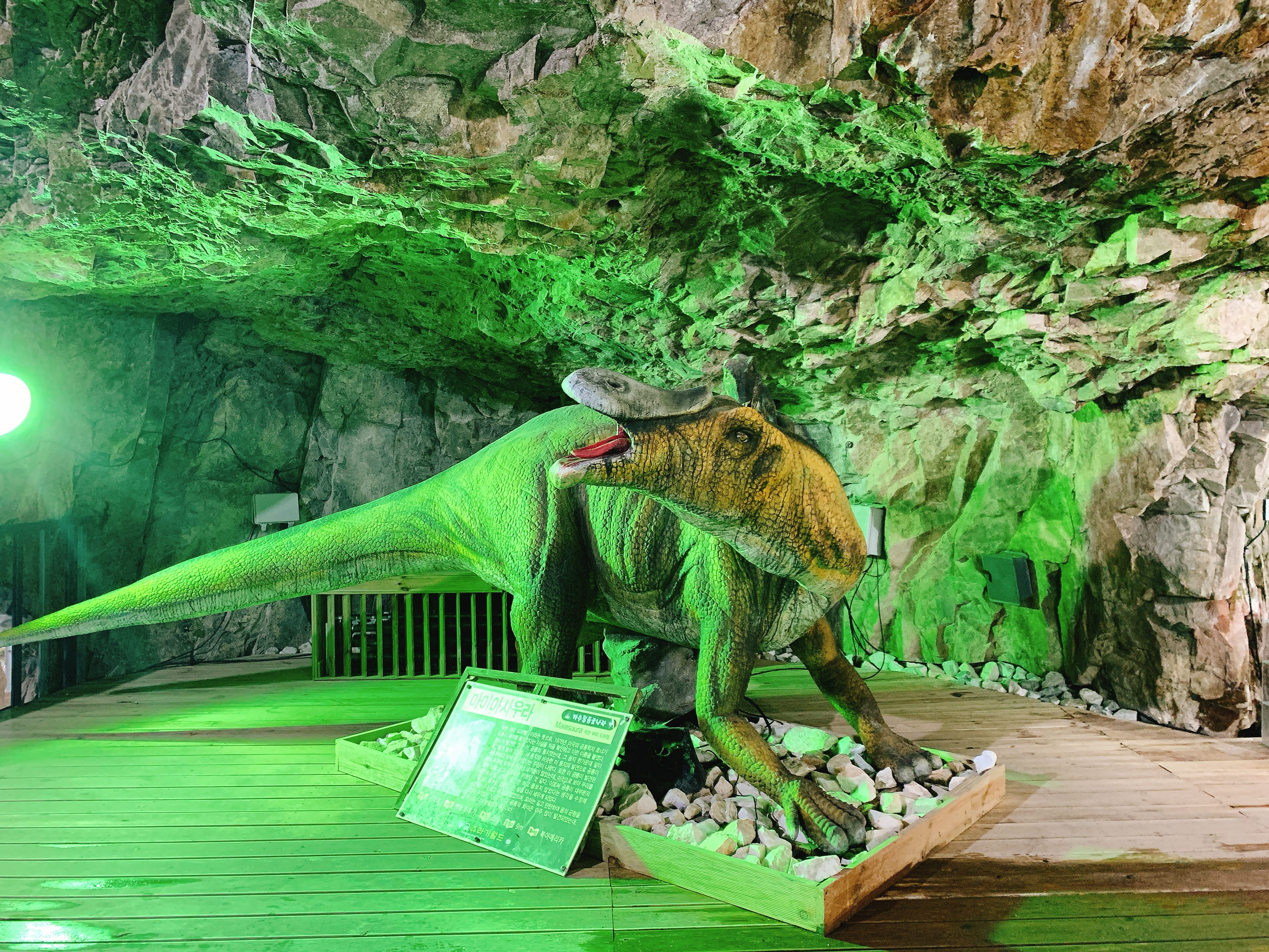 자수정동굴나라 공룡1