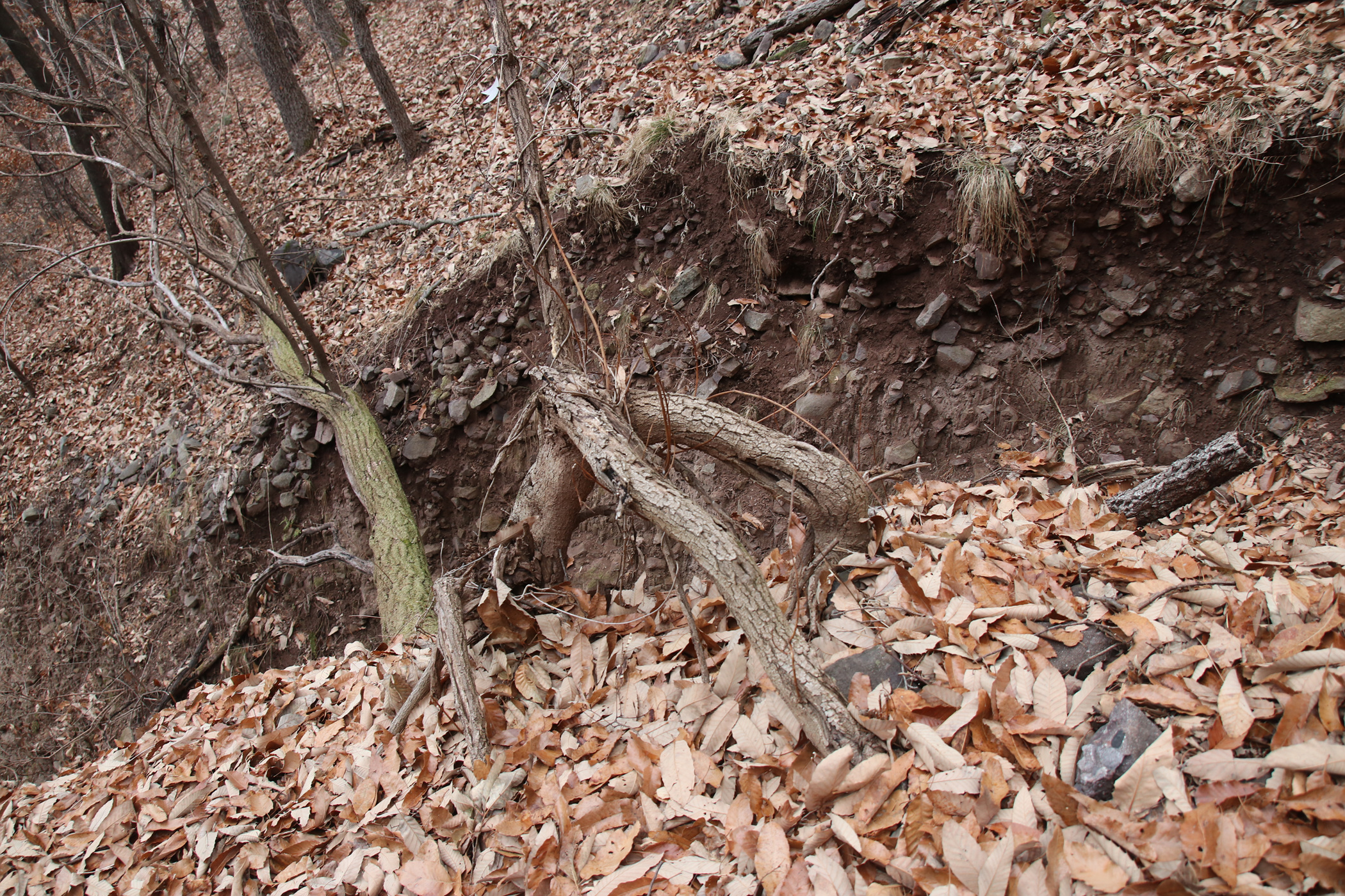 경남 의령군 국사봉 05 51